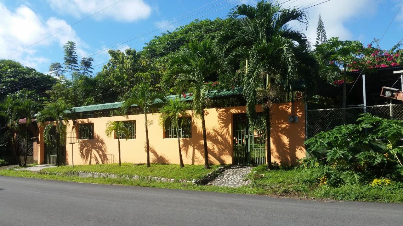 Bed and Breakfast Embassy House Puerto Jiménez Zewnętrze zdjęcie
